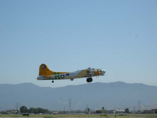 yellow tail B-17